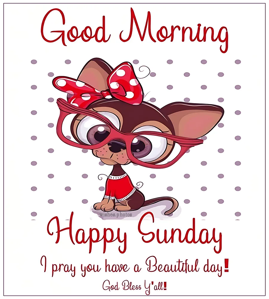 Good Morning Happy Sunday ^ I pray you have a beautiful day God bless you all